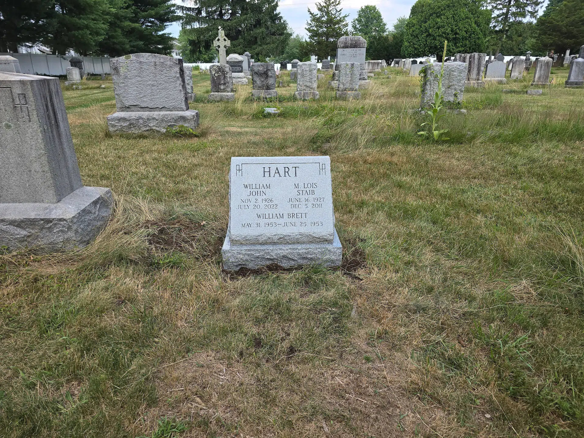 Granite Monument Company hand-carved by Monument Company Finder in NJ — image 3